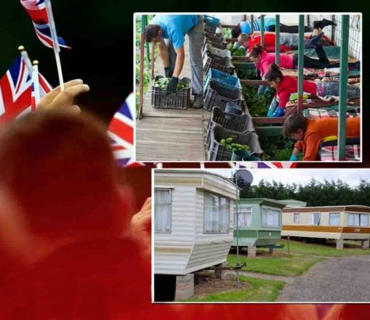 ПОКЪРТИТЕЛНО: BBC разказа ИСТОРИЯТА НА българина Иван – работник от 9 години в Англия! Шефовете там го…