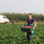 Българите в чужбина често са жертва на трудова експлоатация