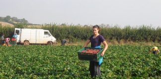 Българите в чужбина често са жертва на трудова експлоатация