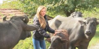 25-годишна рокерка – студентка от Велико Търново сама отглежда стадо биволи