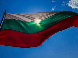 Жена пусна разтърсващо обръщение до българските емигранти по света