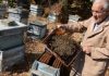 Най-старият пчелар в Свиленград: Лекарства не знам, а съм здрав и с кръвно на младеж! (личната му рецепта)