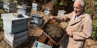 Най-старият пчелар в Свиленград: Лекарства не знам, а съм здрав и с кръвно на младеж! (личната му рецепта)