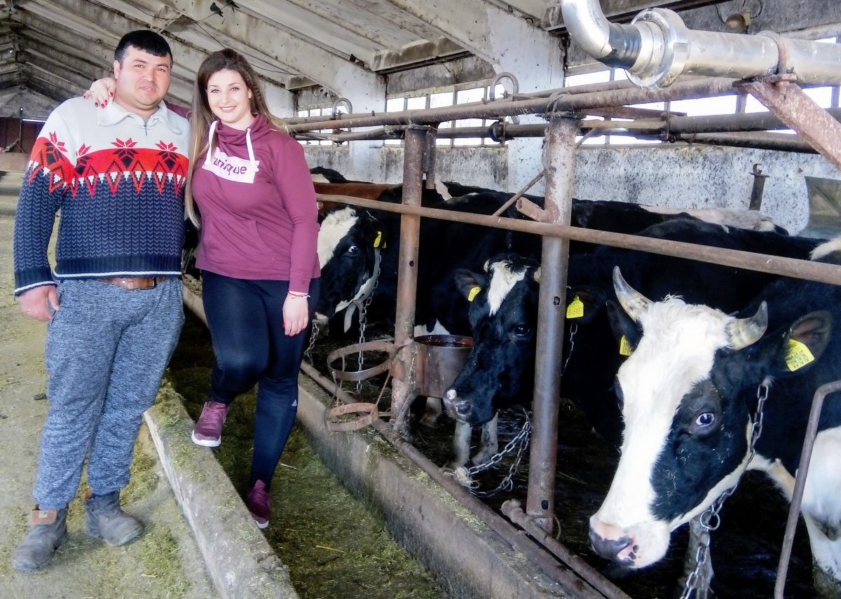 30-годишна с няколко дипломи гледа със съпруга си над 200 крави без европари